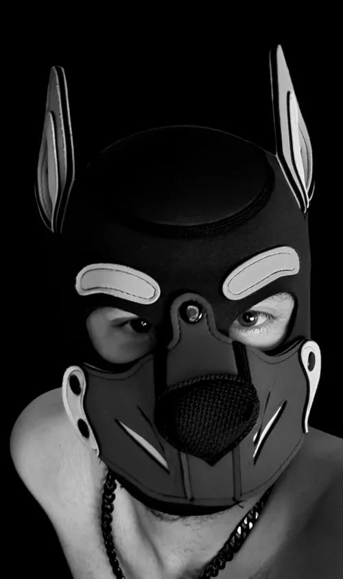 Wruff 🐶  by ukaussie69