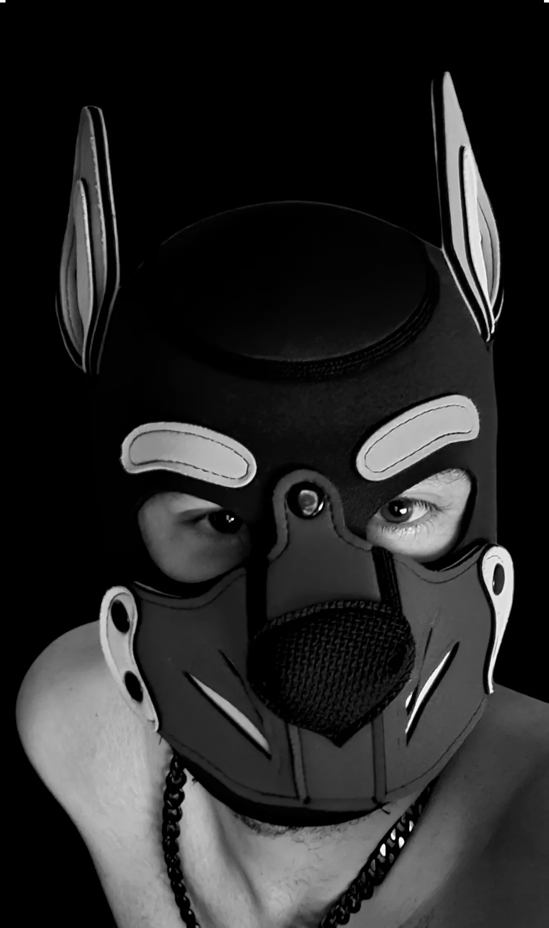 Wruff 🐶  posted by ukaussie69