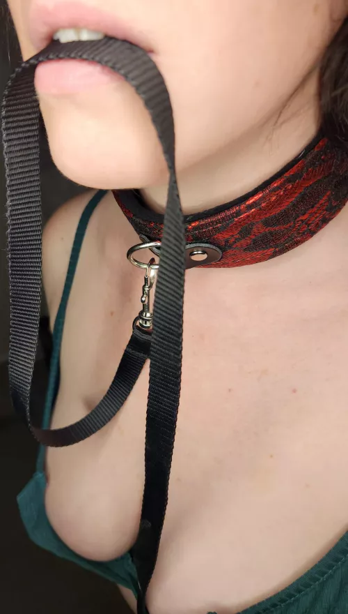 Yes sir, I'll hold this for you until you give me something else to hold by DoubleDaeva