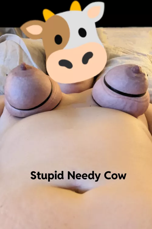 Always stupid and needy.  by cow_in_remissionx