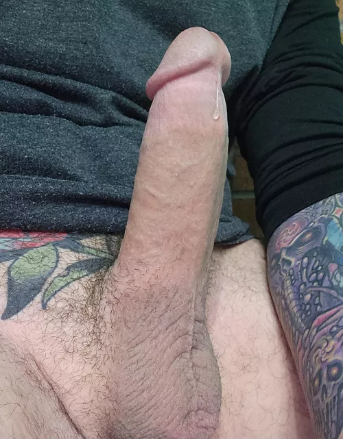 Any takers?  by hardluck5577