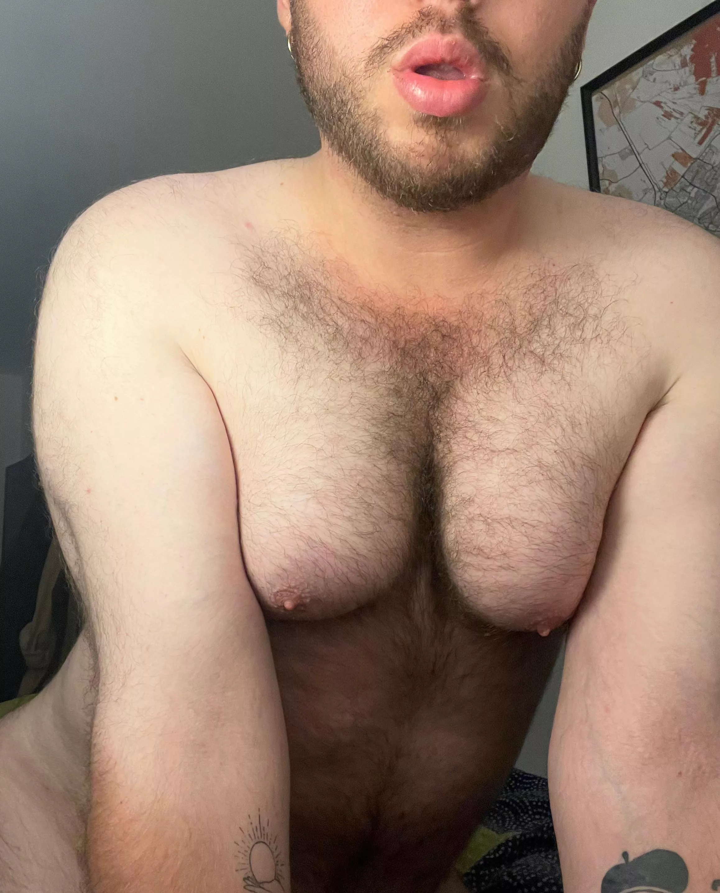 anyone a fan of bears with hairy tits? posted by UnusualCitron264