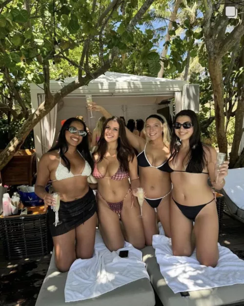 Bikini babes [4] by Ok-Reception2388