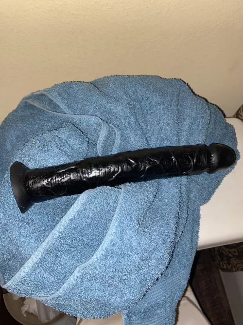 Bout to playyyyy by ScubaSteve96024