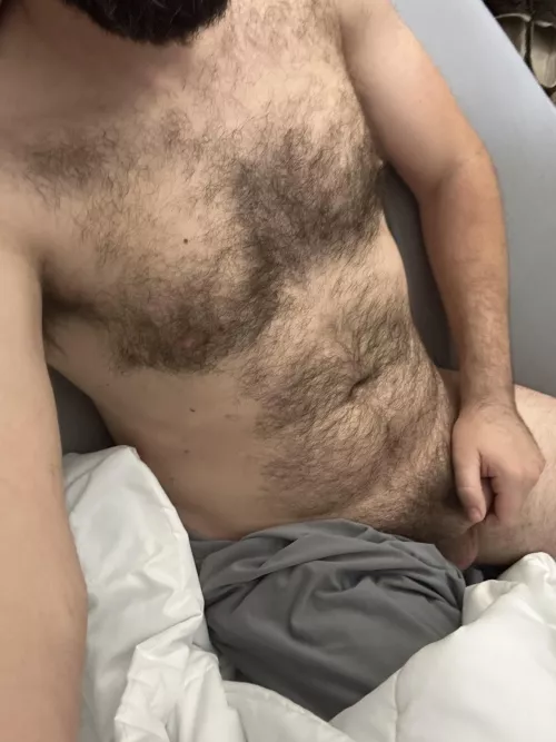 Do I look like boyfriend material? What do you like?  by hairysoutherner