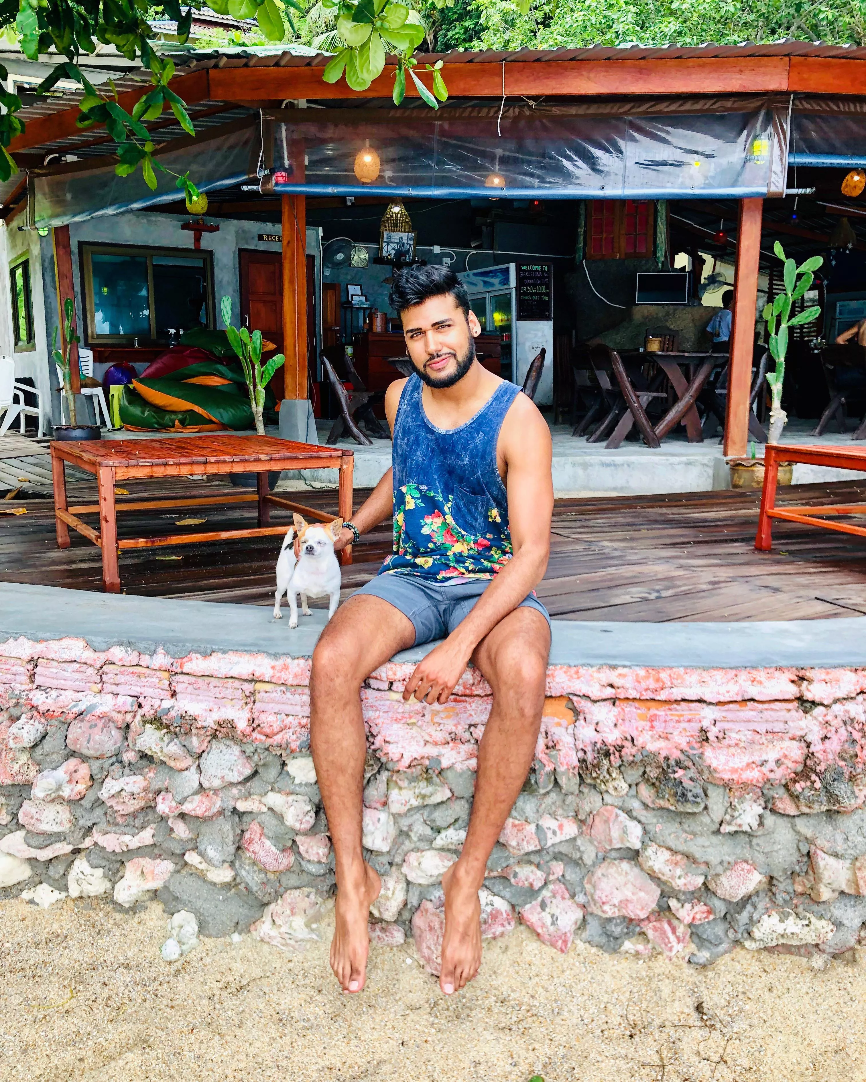 Dog is a vibe  posted by ohdoyouknowhow