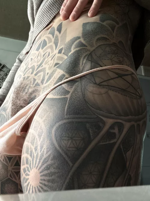 Grass on the field  by anneamor