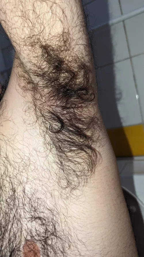 Hands up ! by Anxious_Ananas_643