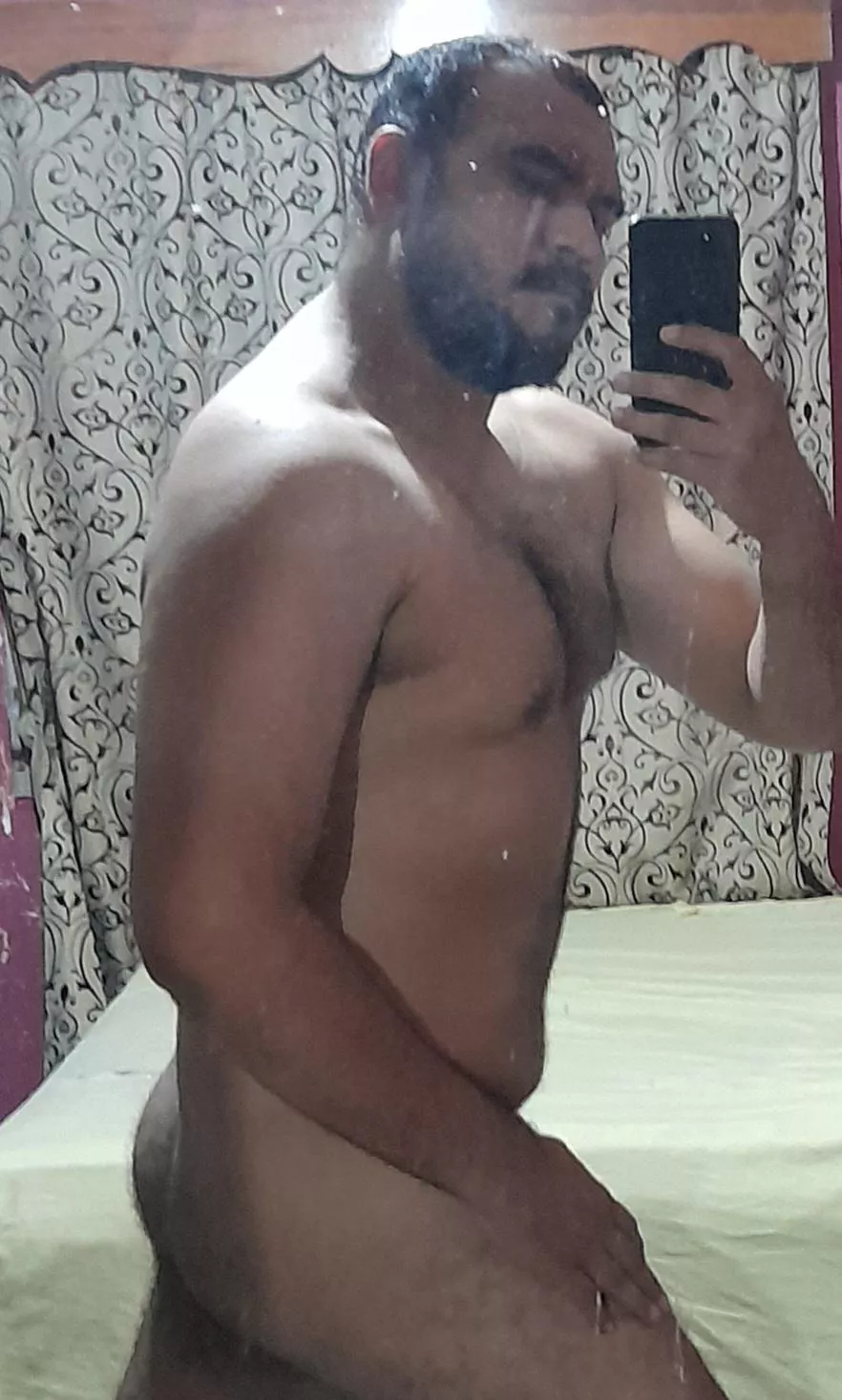 Hello bears! Happy hump day  posted by hithere2496