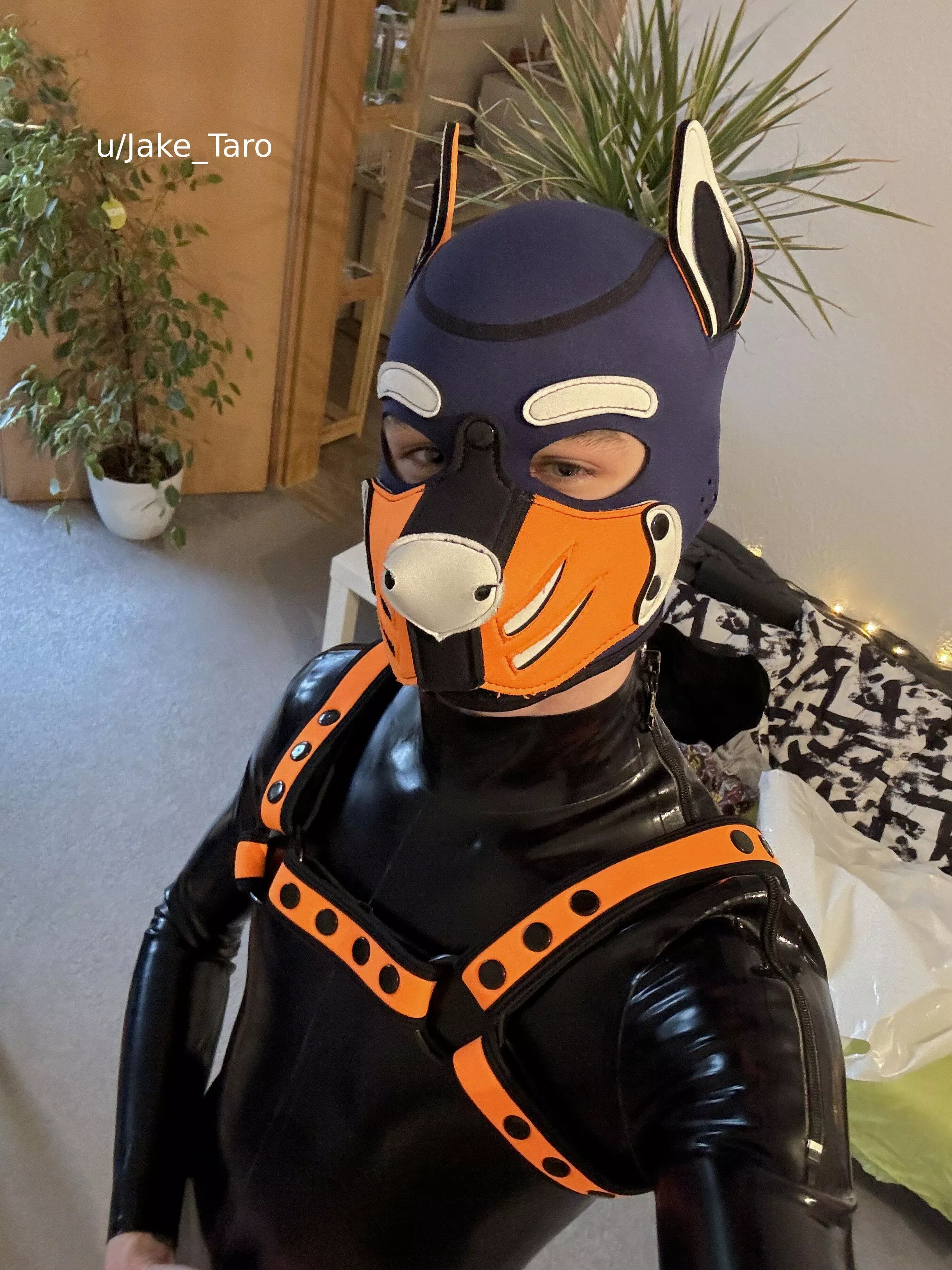 i love my new rubber ^^ whats your opinion? posted by Jake_Taro