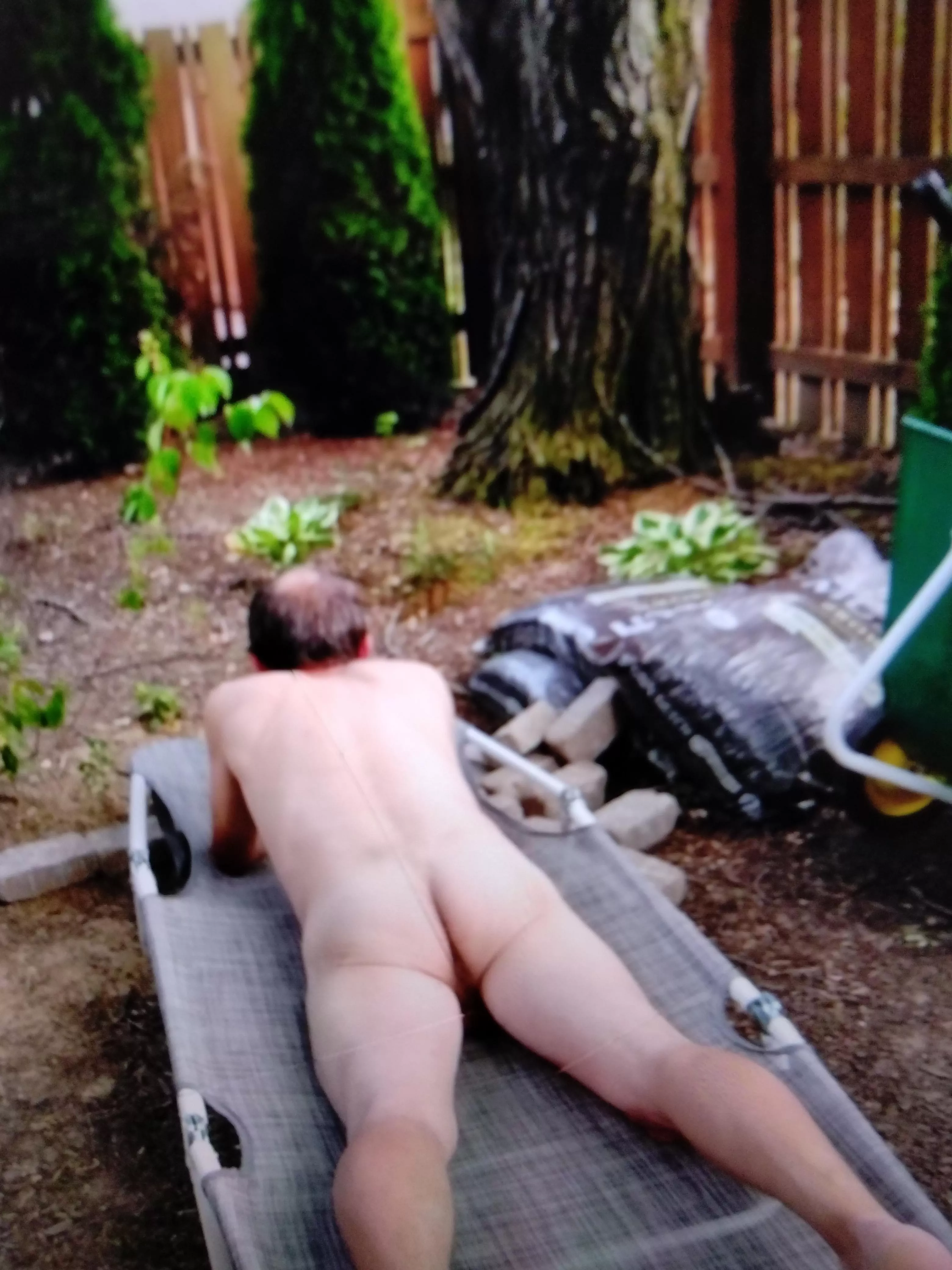 If You Got It Show It posted by ClearMammoth4438