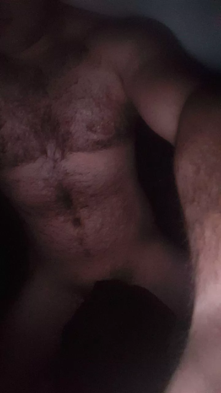 Just your average horny hair 27 year old dude  posted by BiManBear4U