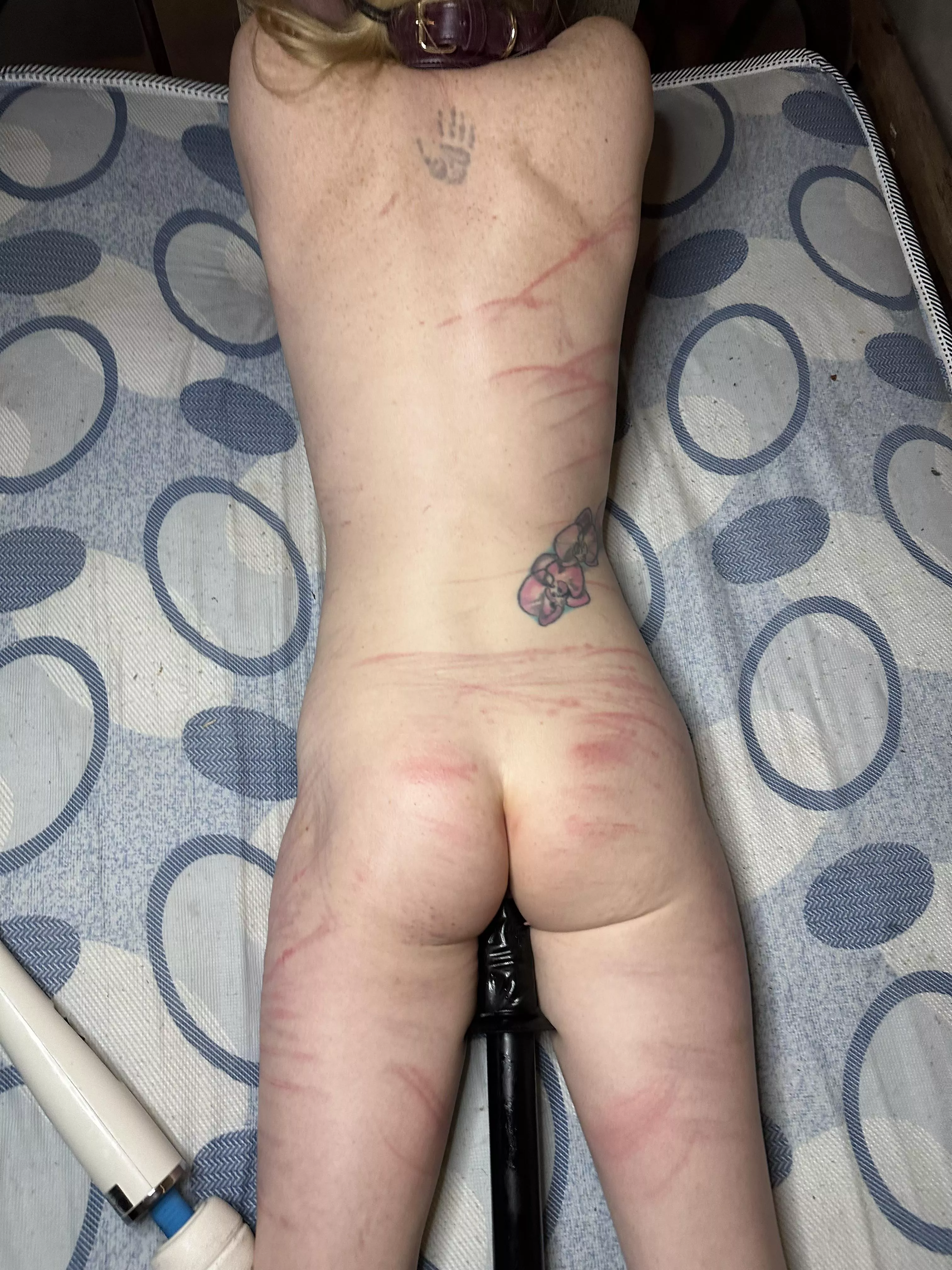 My work speaks for itsel[F] posted by hawker292