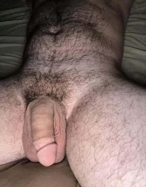 Need a big hairy man to suck on? by OkAnywh3r3