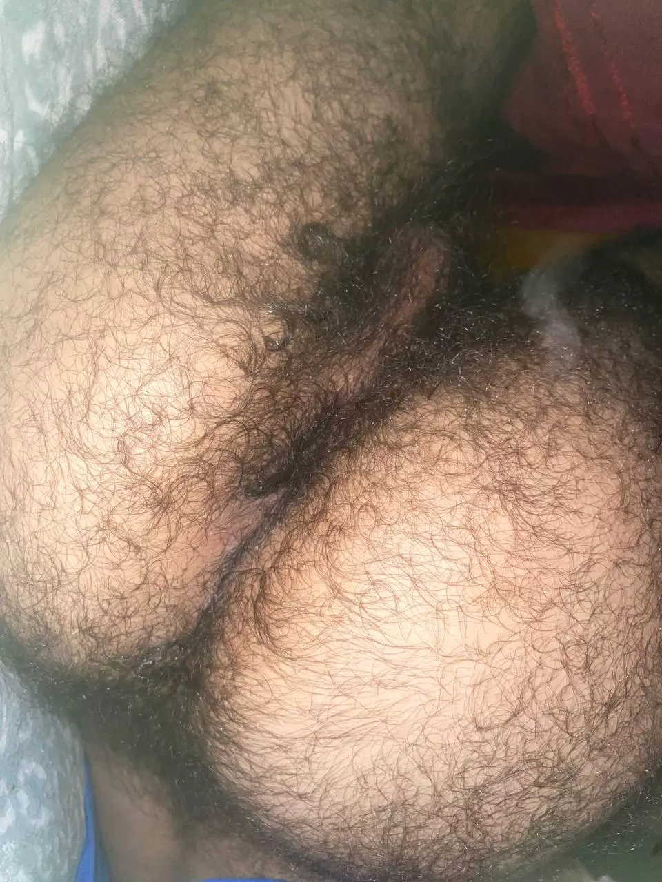 Rate 1-10, (I wanna ride a bearded man’s face) posted by reiliand