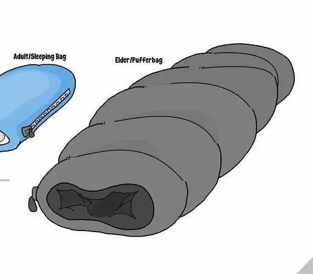 {request} I can’t seem to find the whole image of this. posted by Prestigious-Toe2344