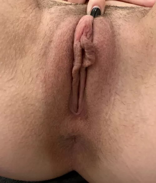 Should I shave or grow a bush? by sexykittyyourgirl