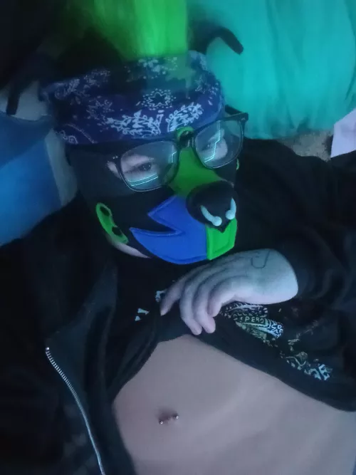 Squid is in the house! Awooo!!!  by ThePupSquid