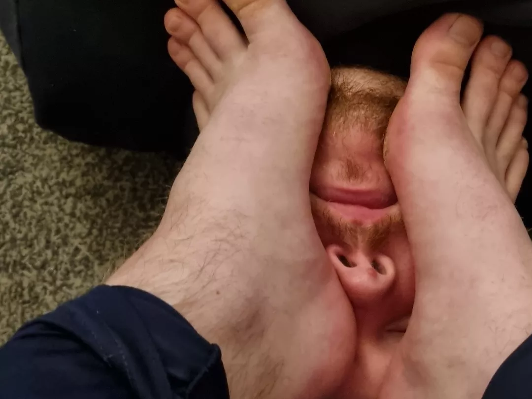 Want to be turned into a domestic slave and furniture.  UK posted by scoopys_ahoy