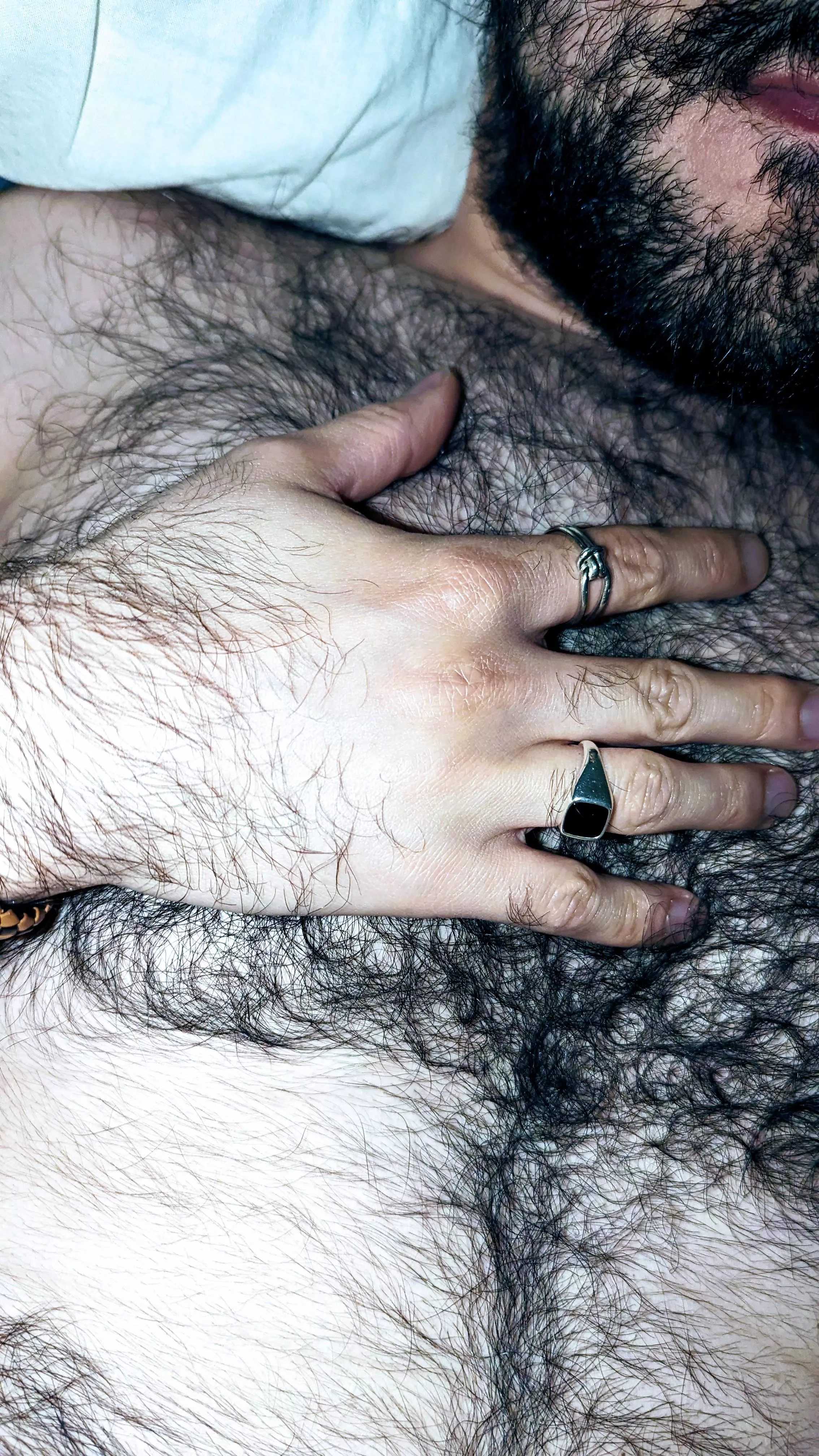 Welcome to the forest  posted by Anxious_Ananas_643