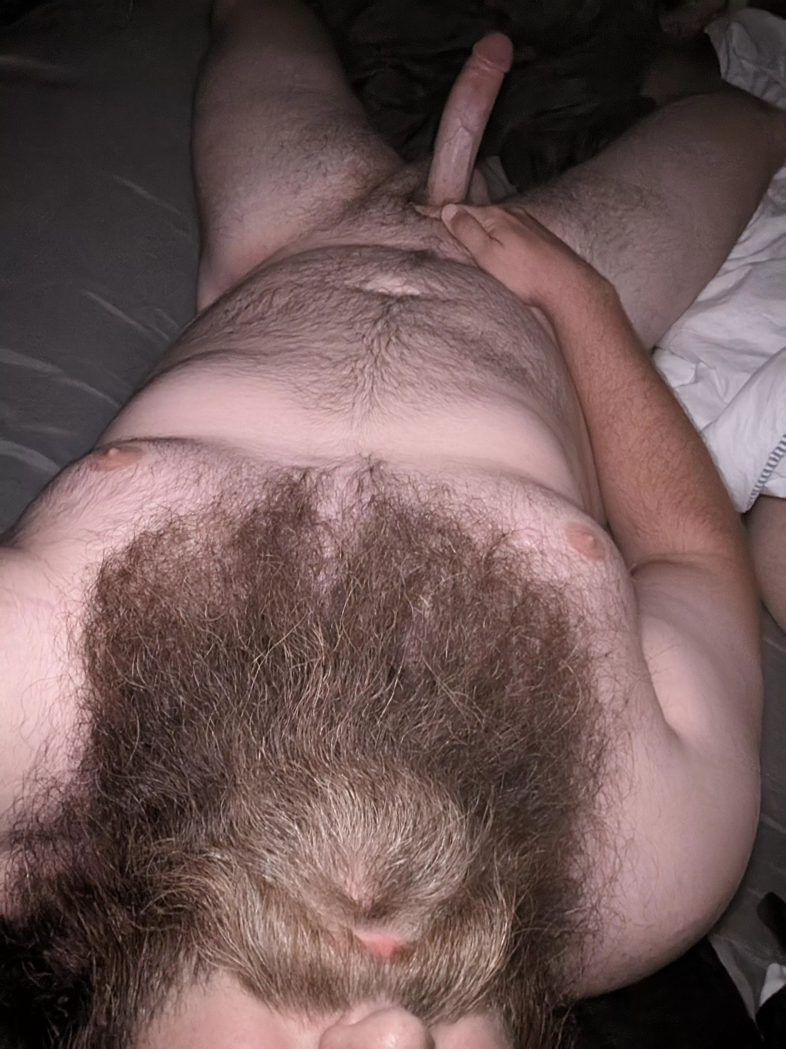 What do you wanna do first?👀 posted by BeardedErrection