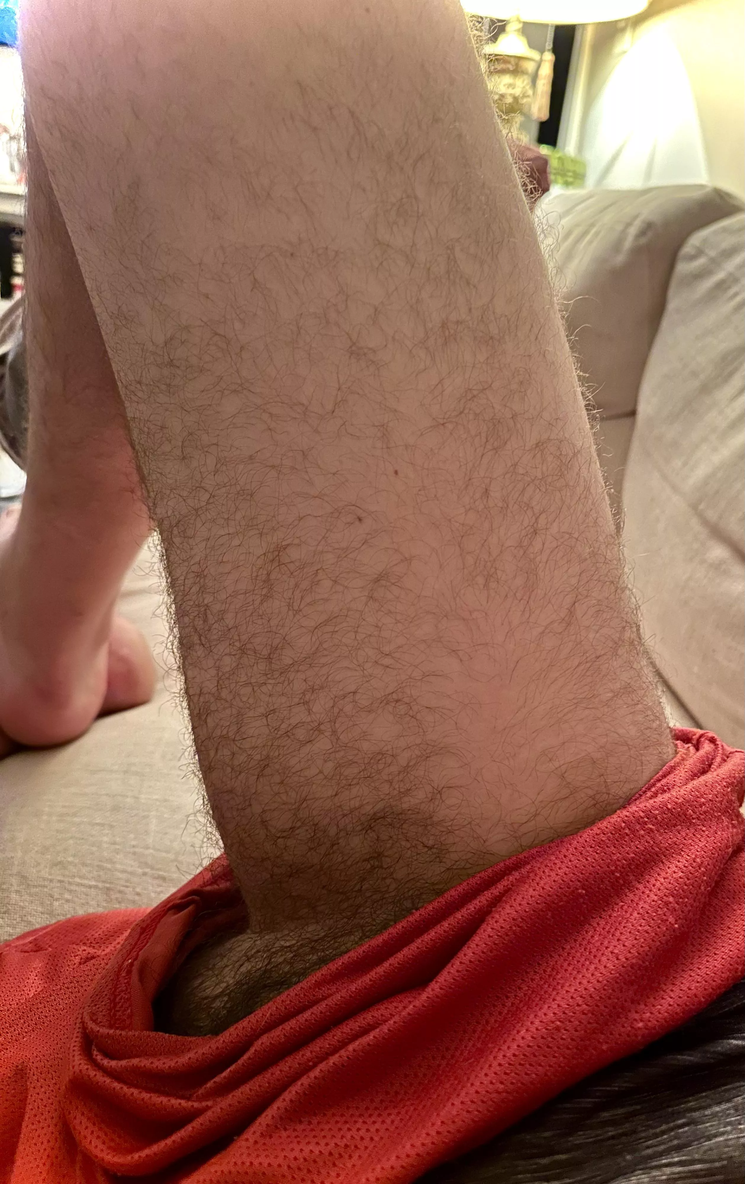 Would you follow the fur? posted by hairysoutherner