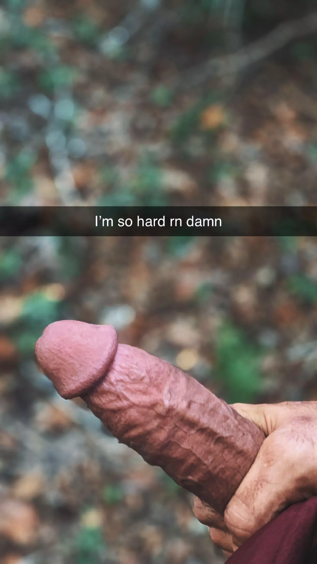 Wowzers posted by txpinetx