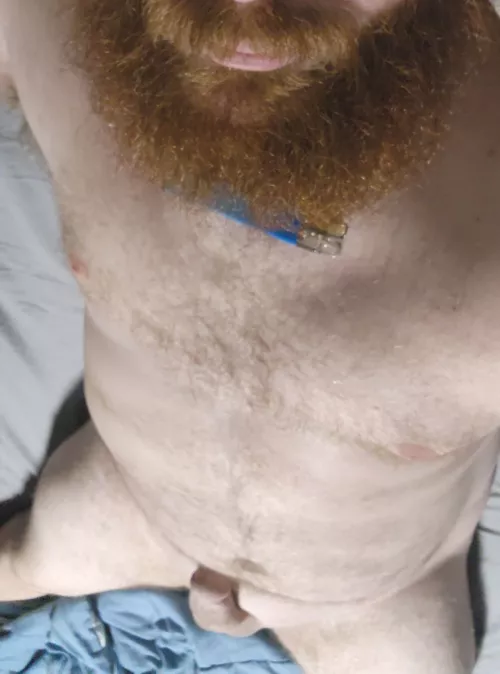 [30] I hope everyone has an amazing day! by whitecocknextdoor