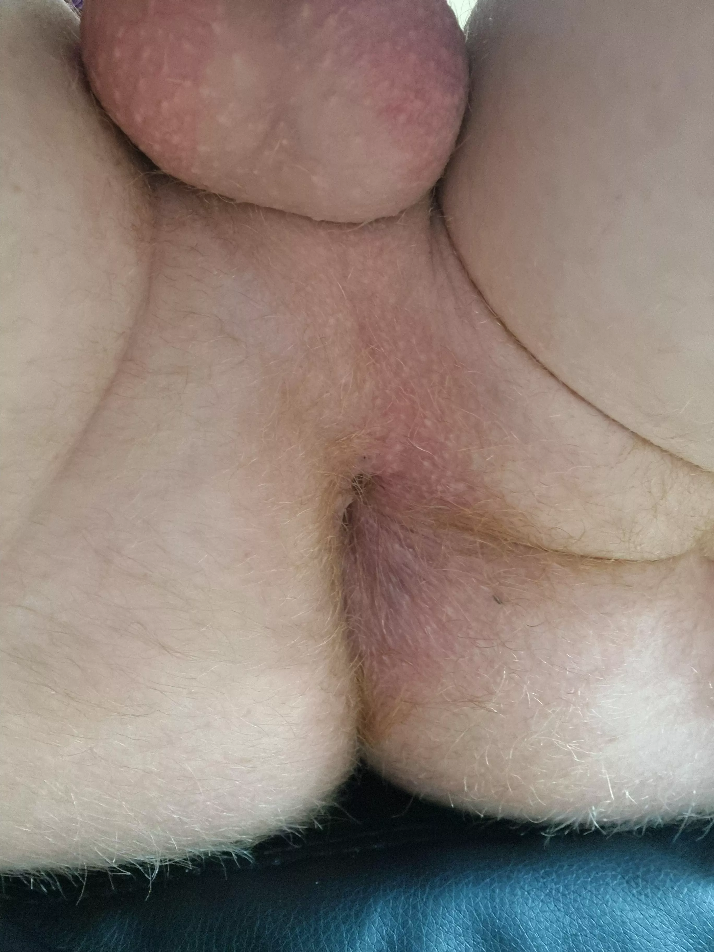 Anyone like ginger hole? posted by National_Box9531