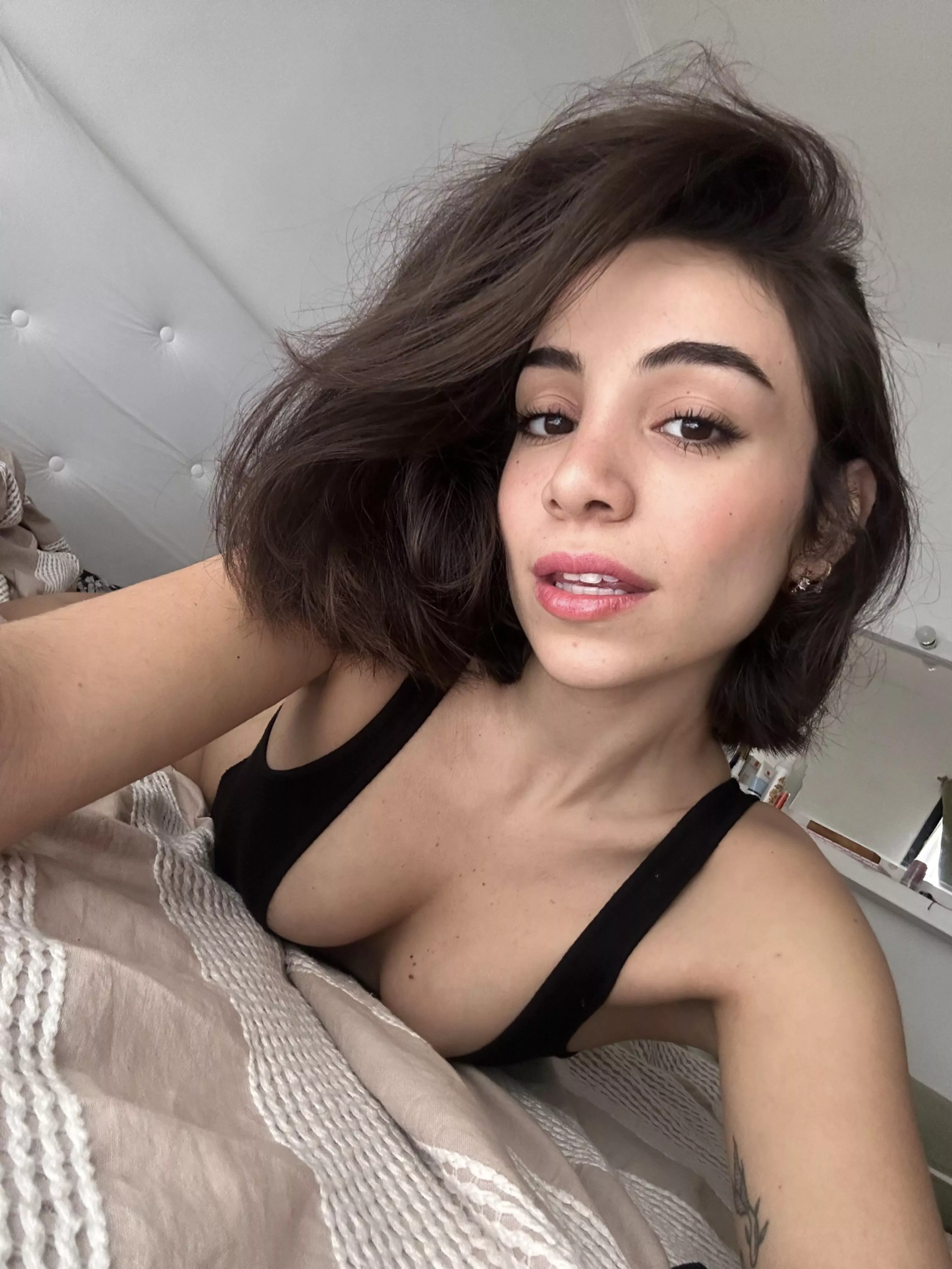 Are you a boob or an ass guy posted by Clkruger