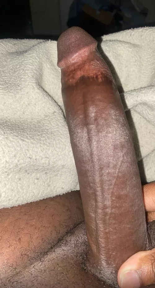 Big enough? by Jay4320