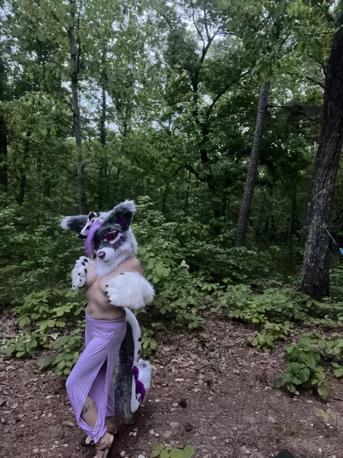 Come play with me in my territory  by Rayne_Rot