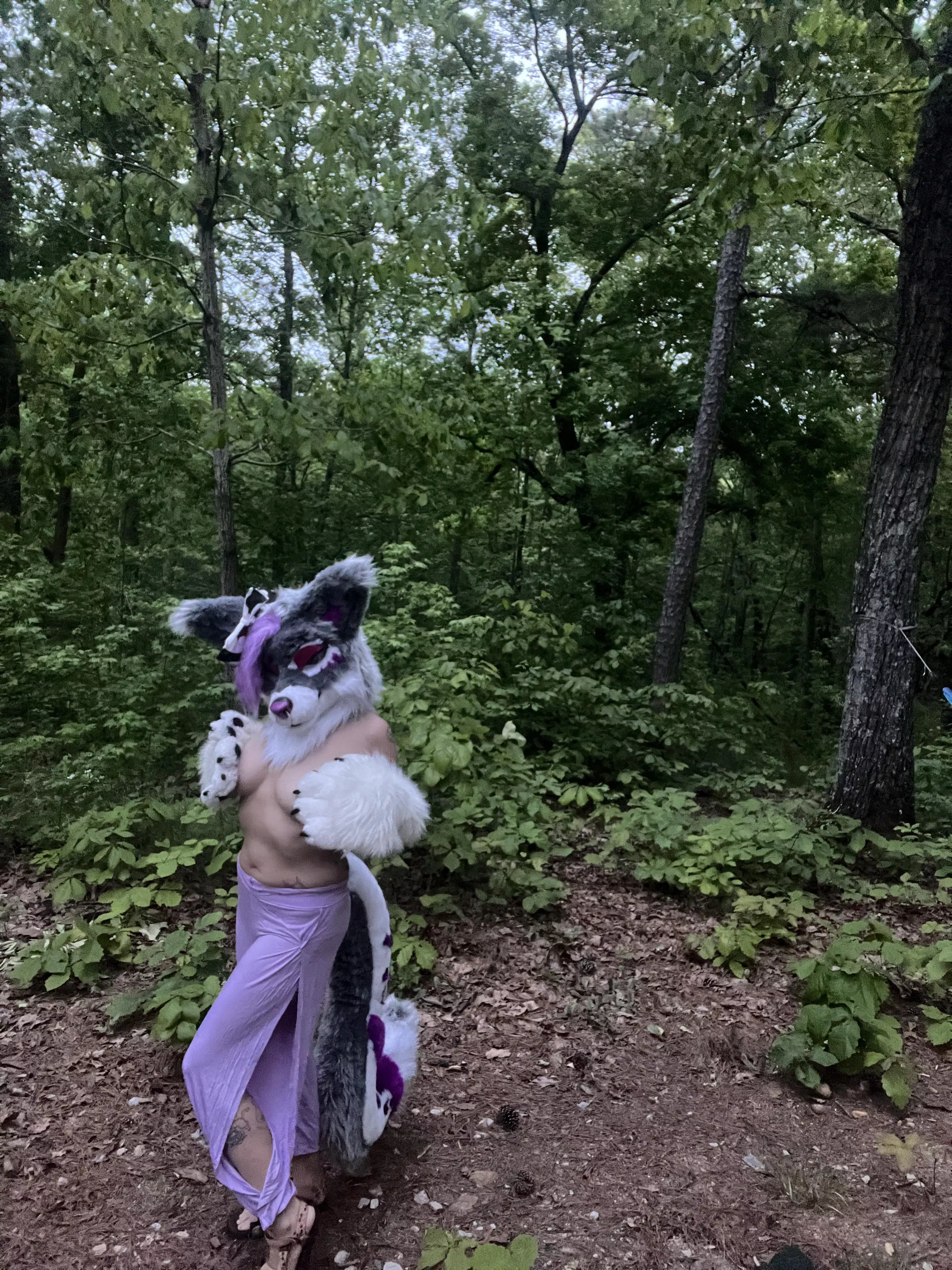 Come play with me in my territory  posted by Rayne_Rot