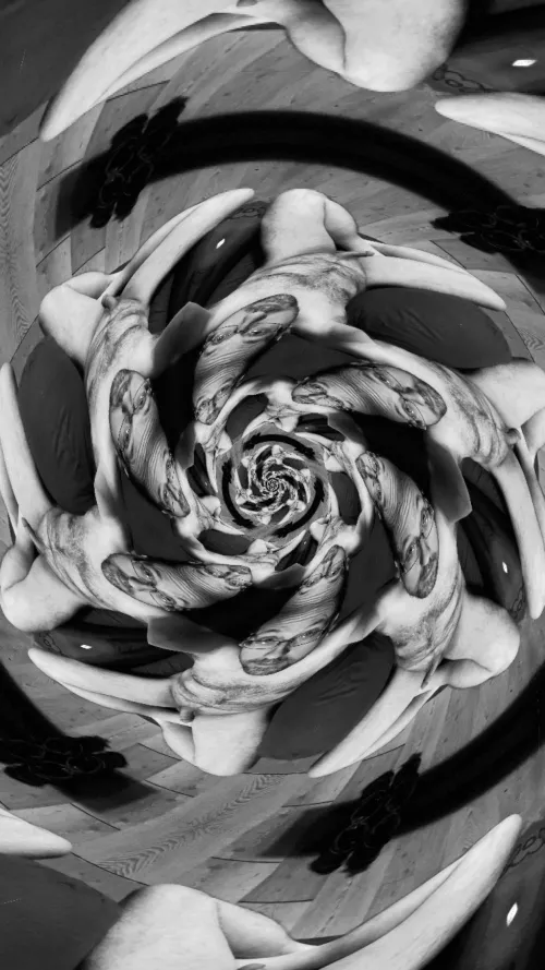 Creative Pic? by BillNoPants