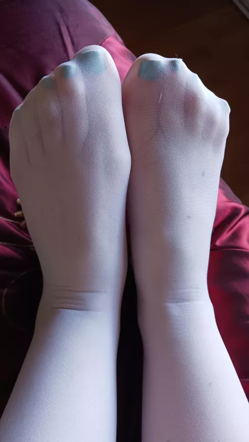 Cute toes in sexy pantyhose  by No_Worth2919