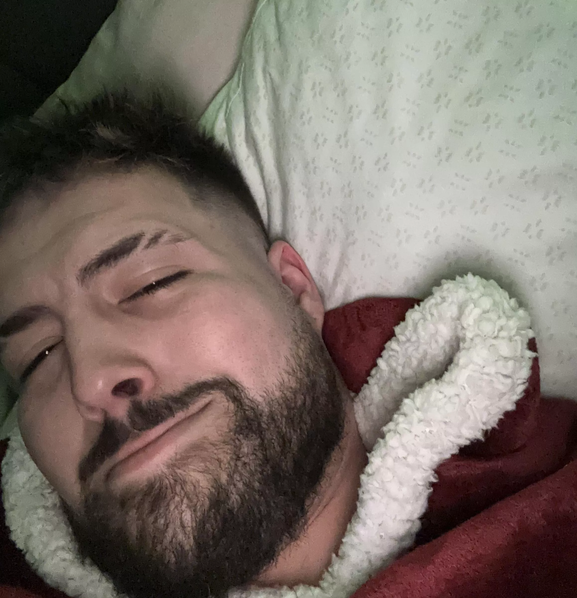 Do I look cute sleepy or no.  posted by Owlowlplank