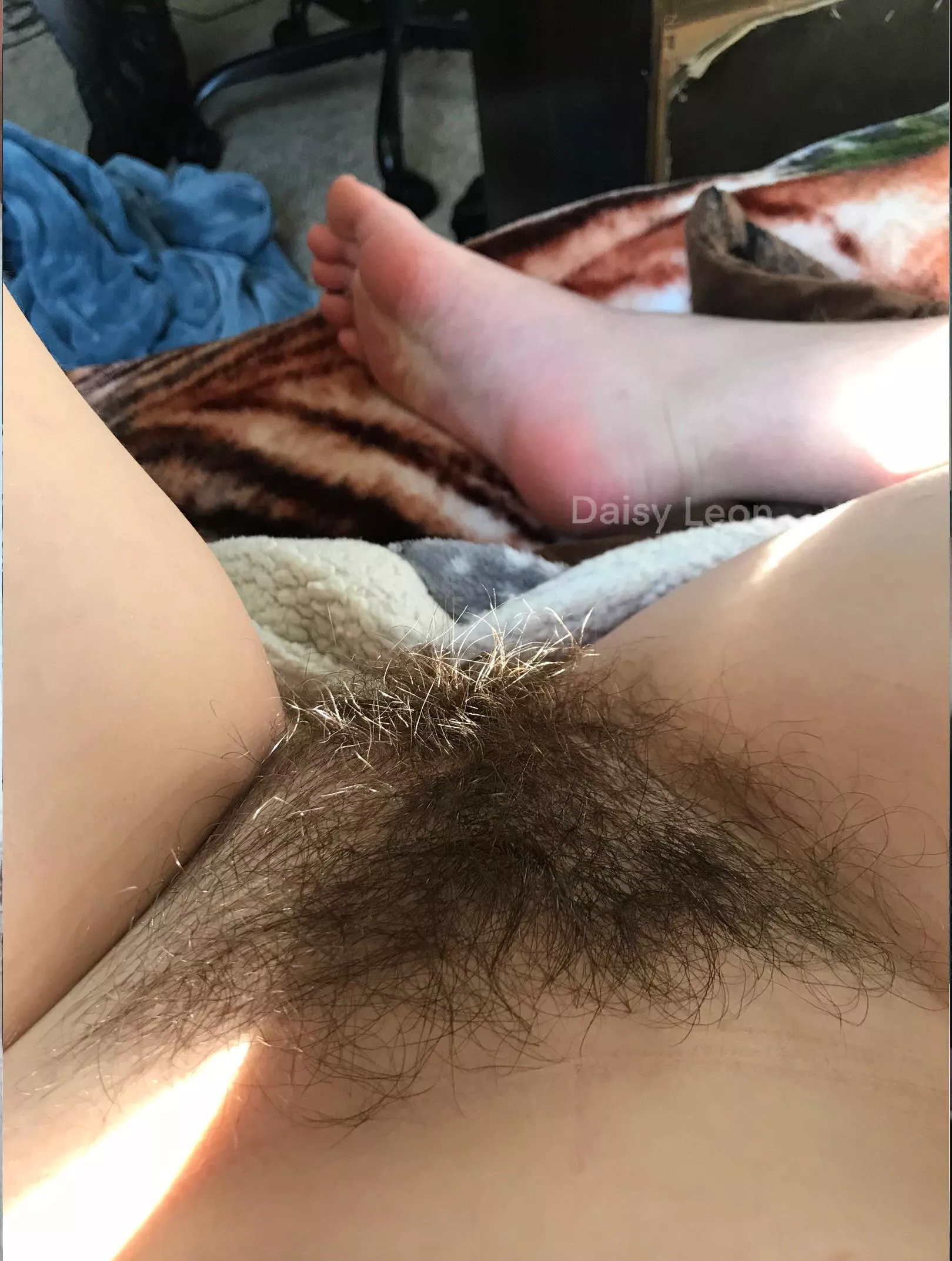 do you like bush or love bush? posted by DaisyLeonXXX