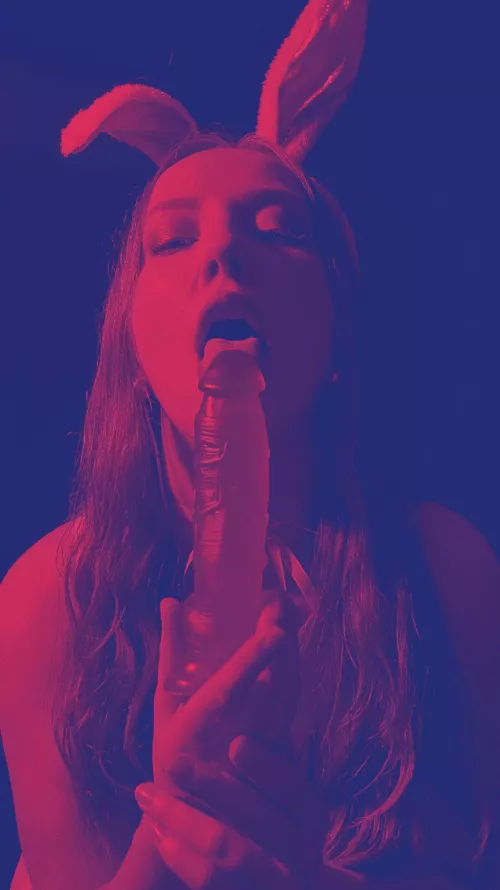 Duotone edit. I could see this as a screen print poster. What do you think?  by miss_rachelann