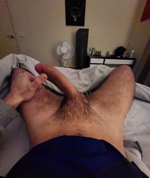 Feeling like handing out some creampies by Logic-El-Verga