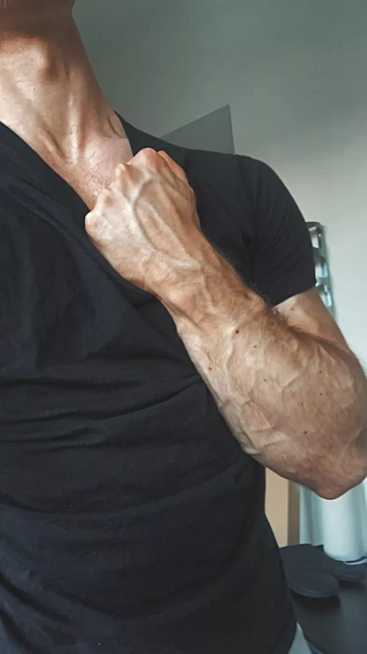 Felt vascular, might delete later posted by slangingwang