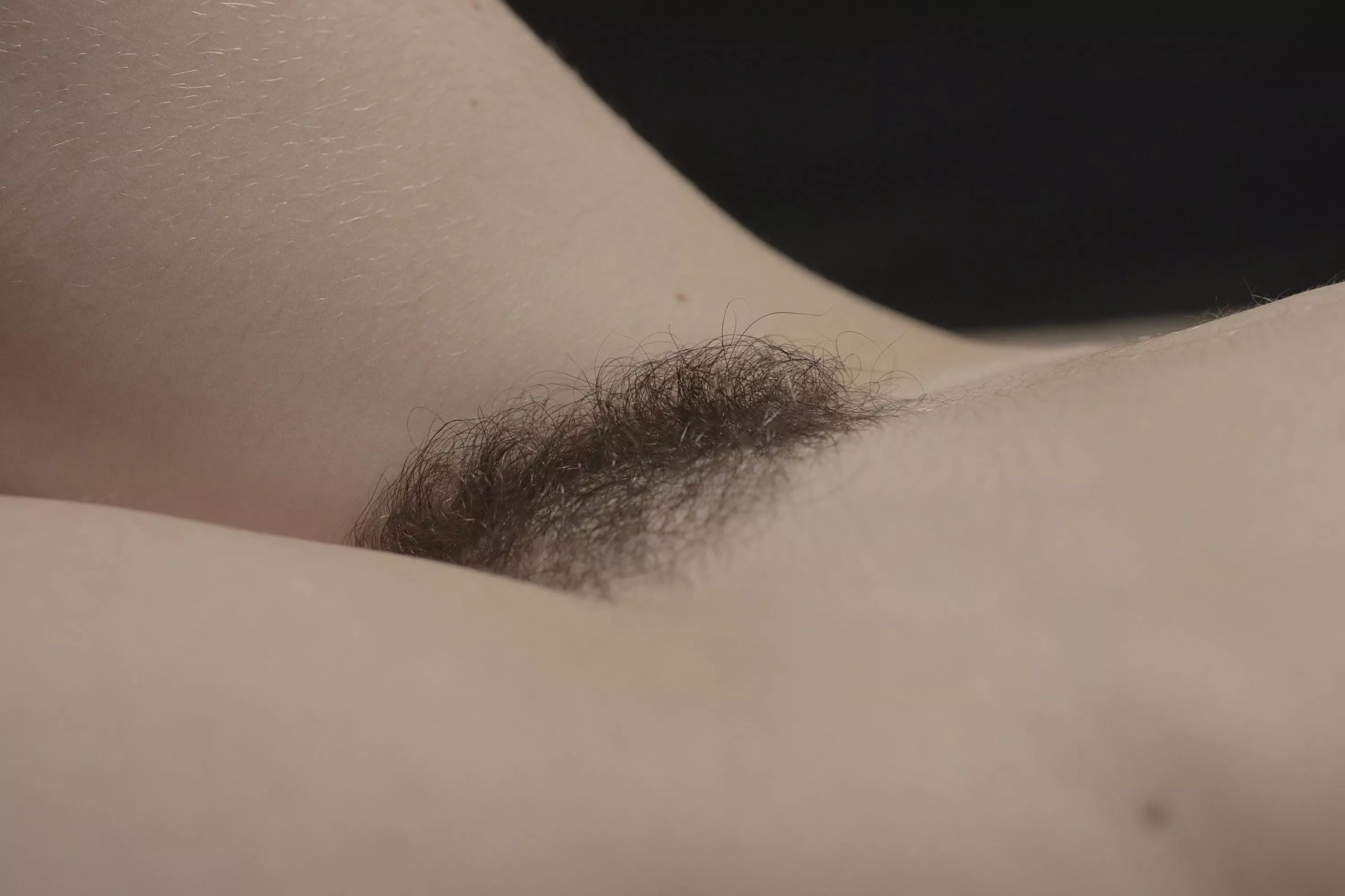 Fluffy side view  posted by franuella88