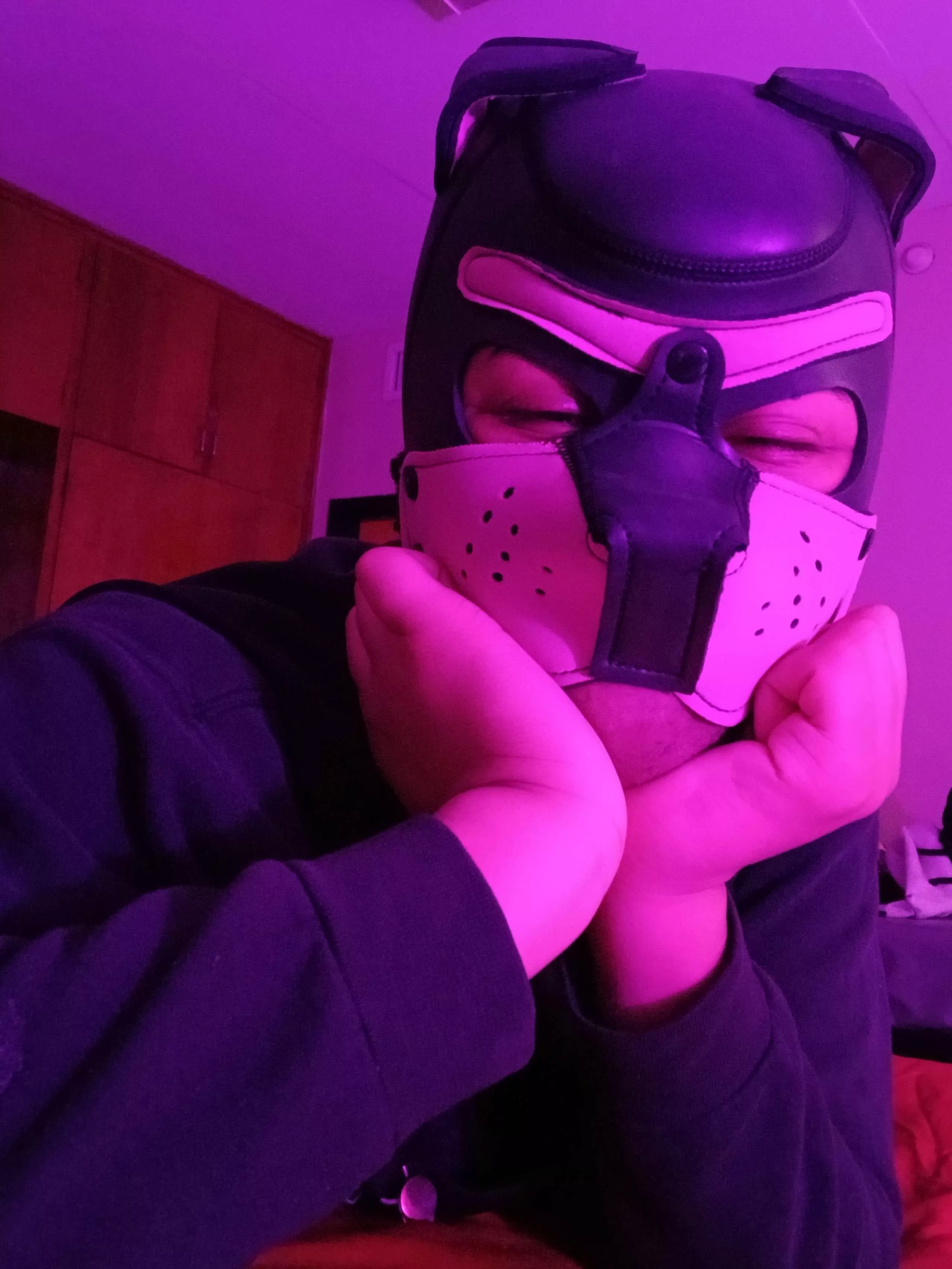 Good afternoon pups!! posted by PupAries_