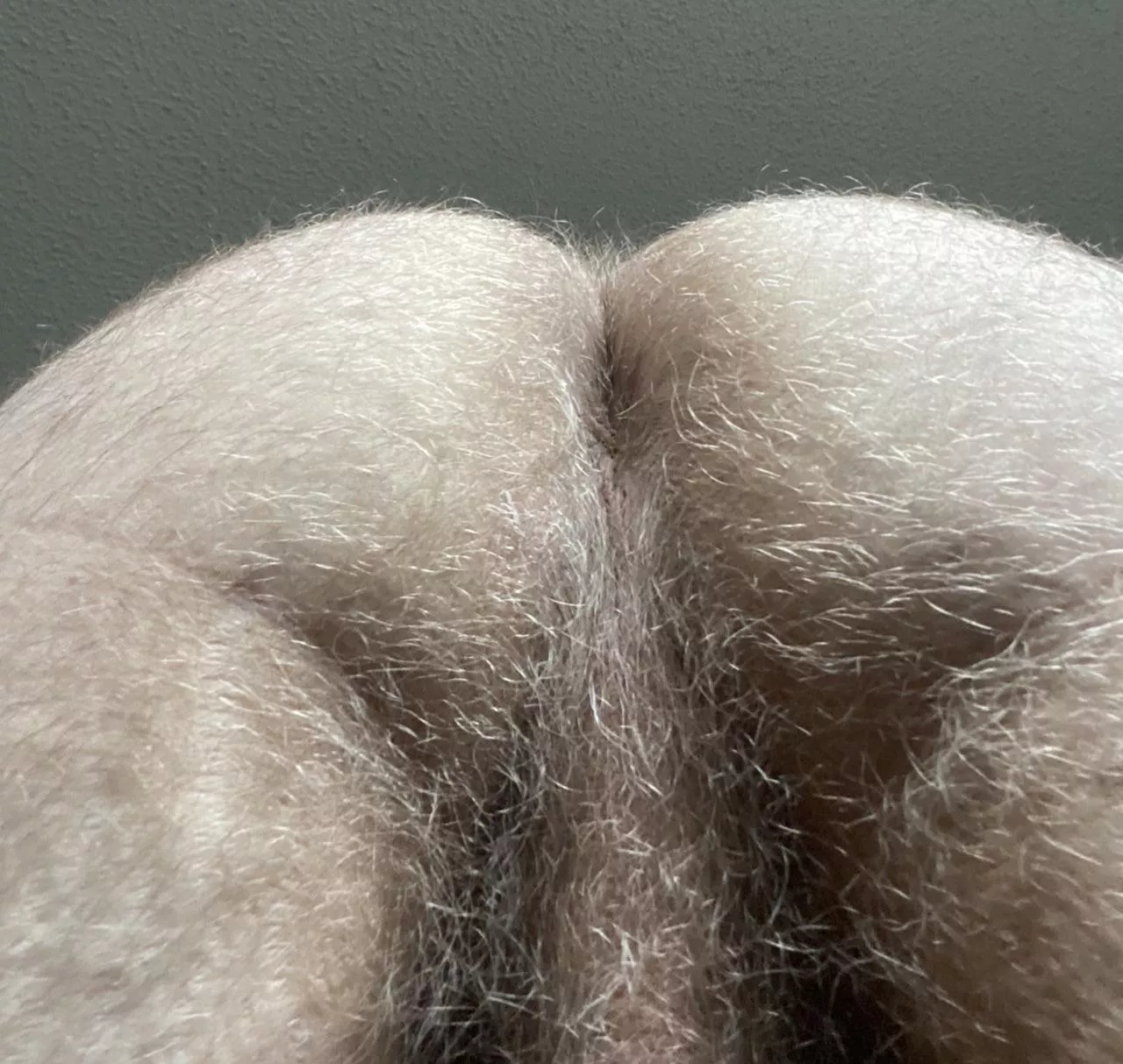 Hairy bro hole 🐽 posted by bigbrojacks