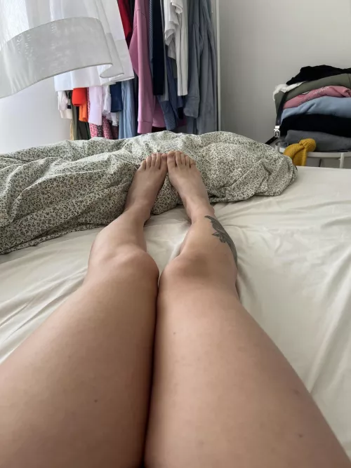 happy pre-summer paws 🐾 by Fantastic_Priority