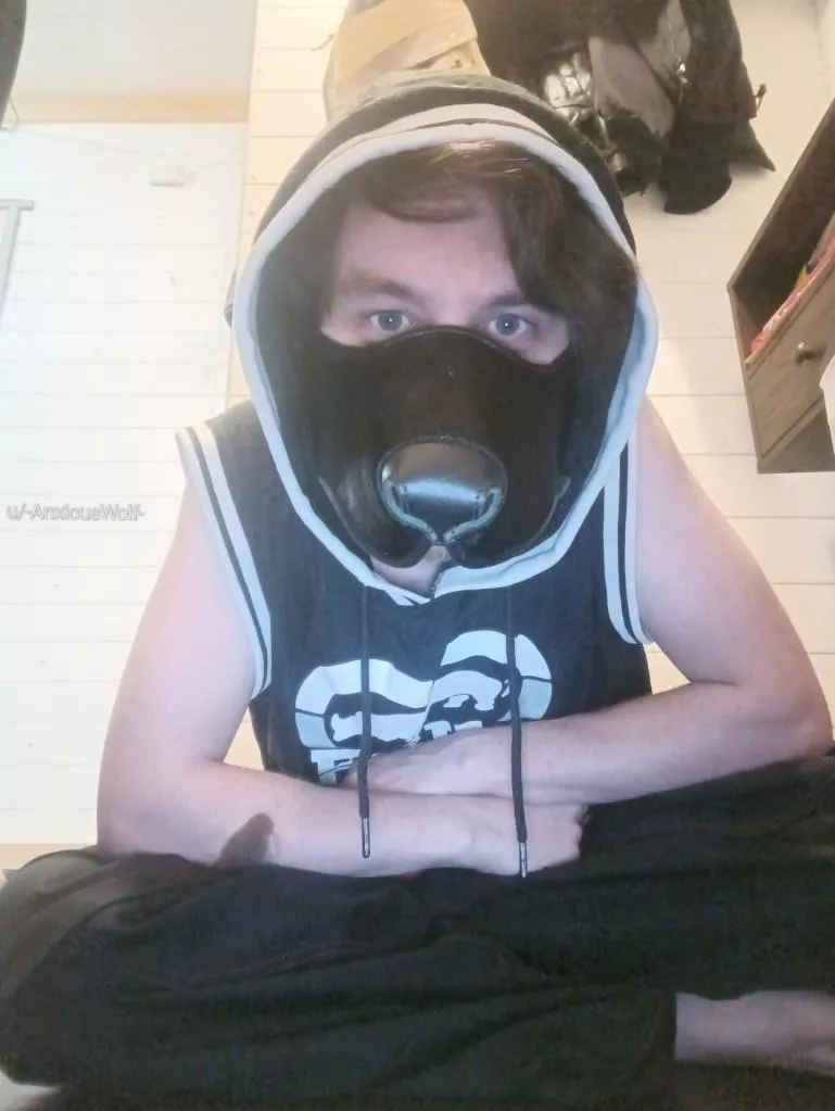 Hey pack what's up 😄 posted by -AnxiousWolf-