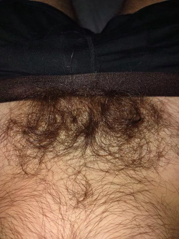 Just a tease... posted by s_sommer