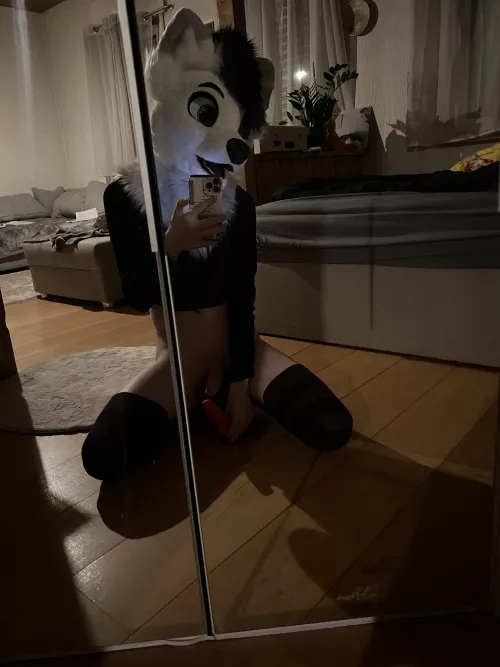 Just your average fox uwu  by JH_Schmidte