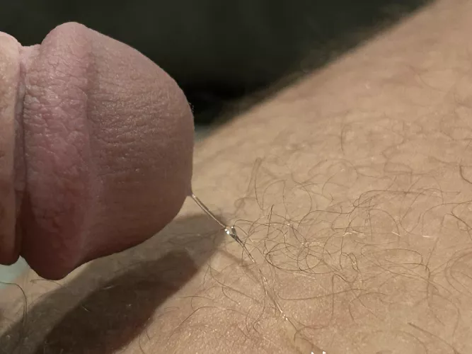 Little drip by nice_guy302