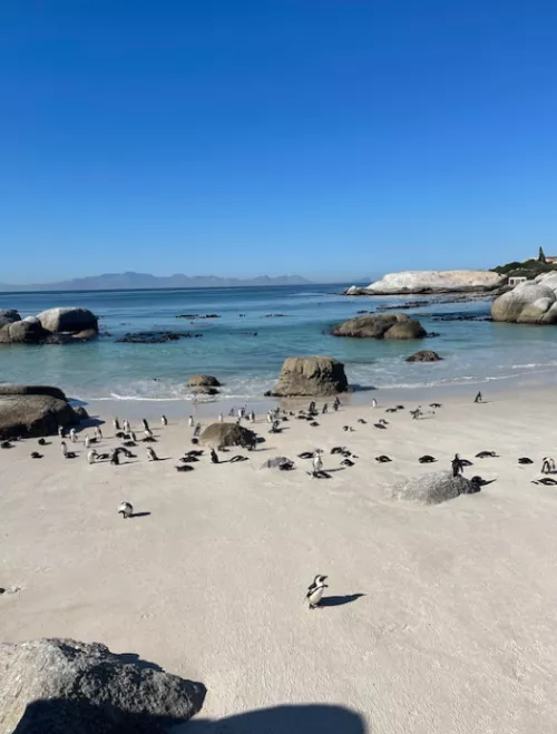 Little guys are having the time of their lifes by efish78