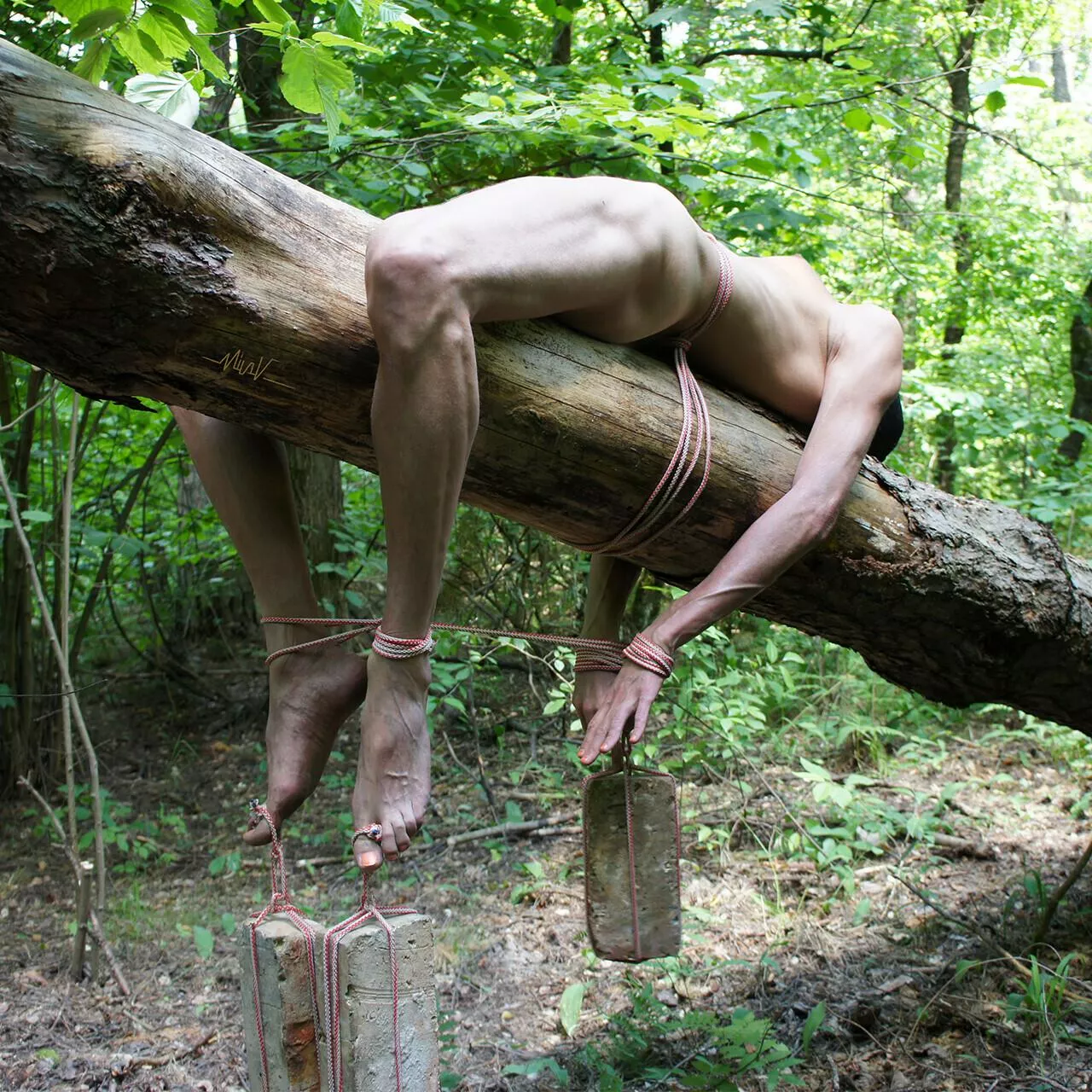 lounging posted by Mundane-Employer-719